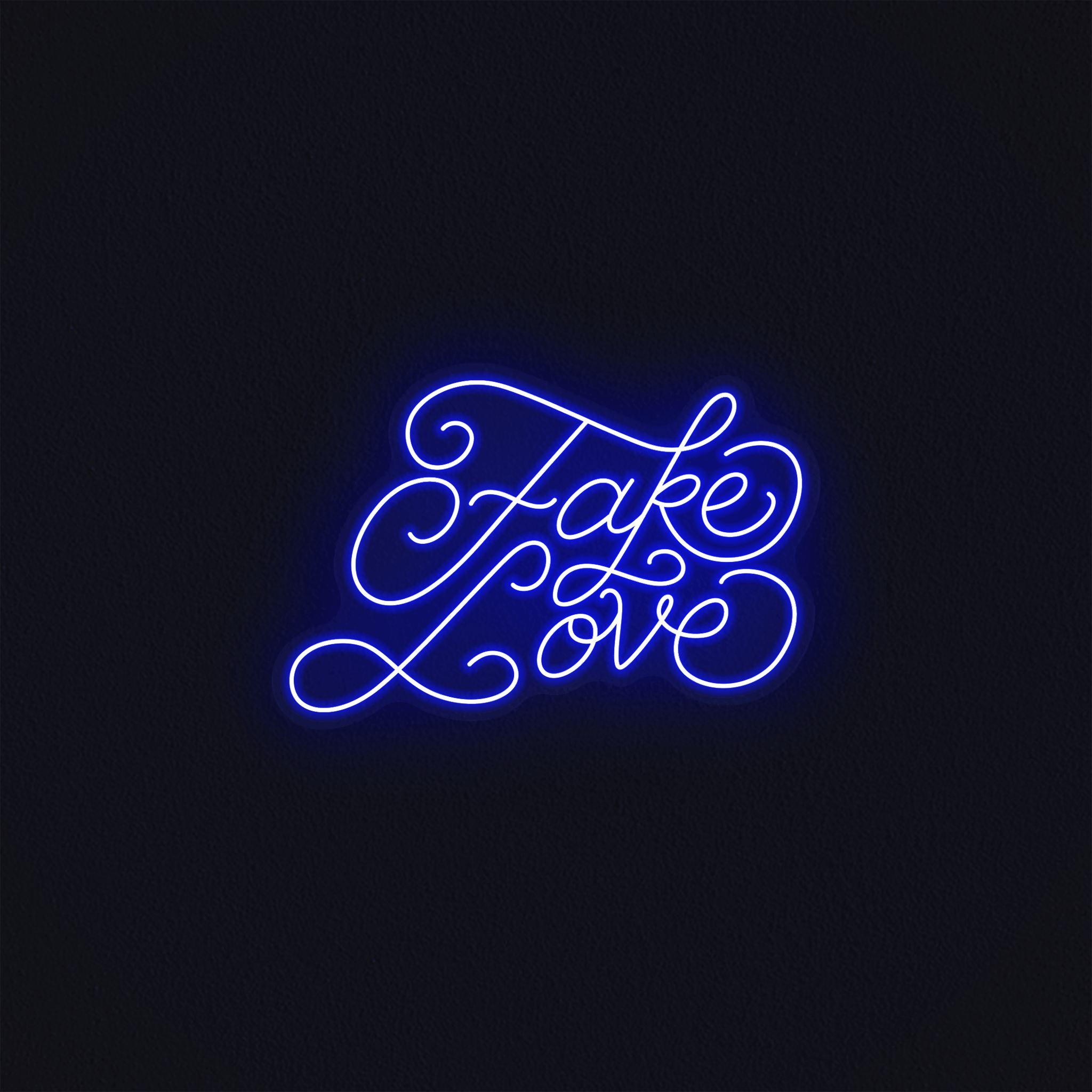 Fake Love - Mr Luciole