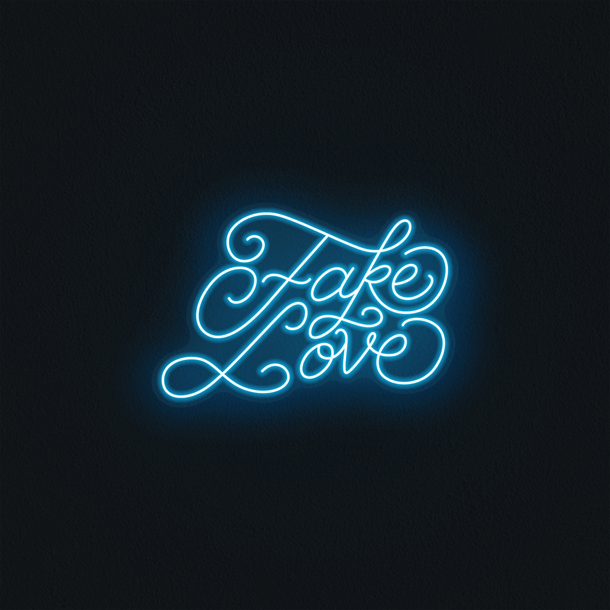 Fake Love - Mr Luciole
