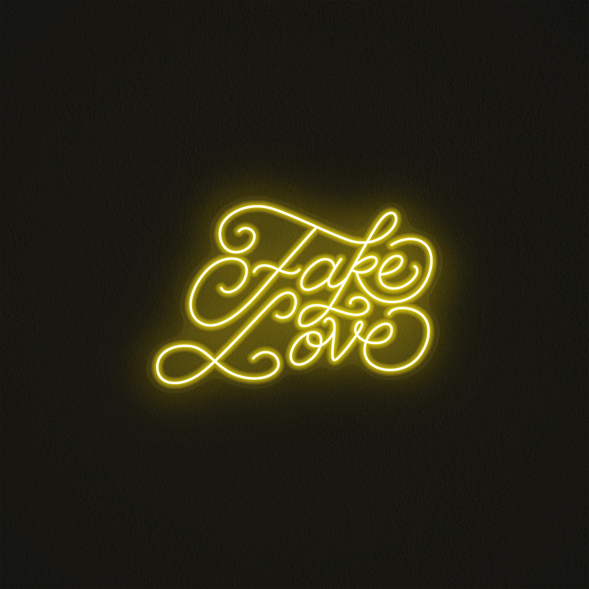 Fake Love - Mr Luciole