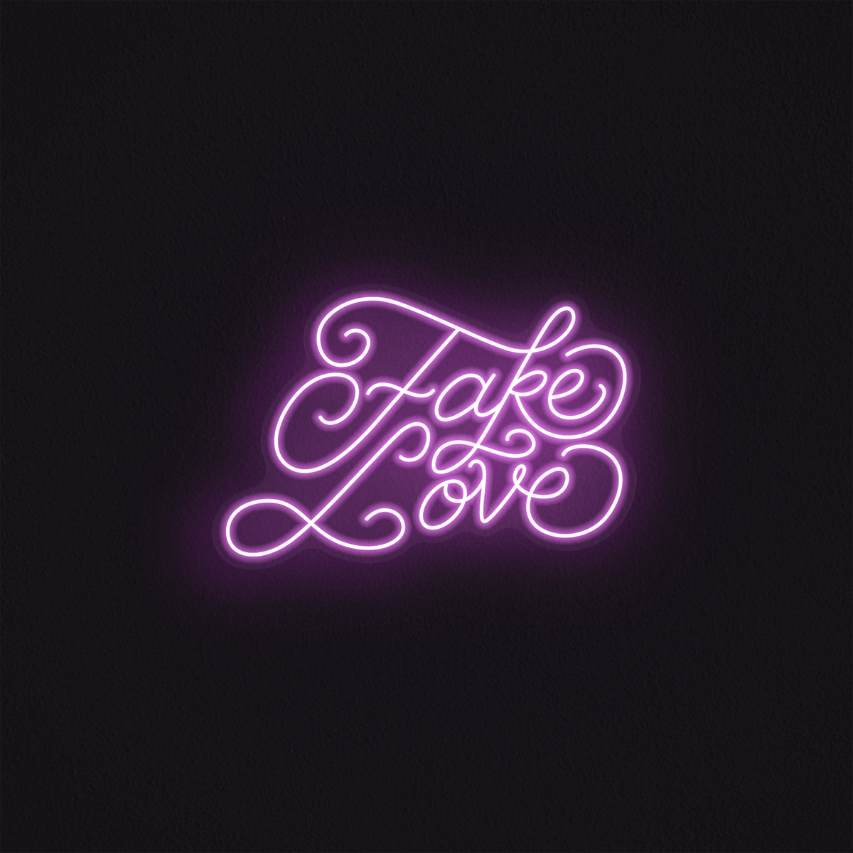 Fake Love - Mr Luciole