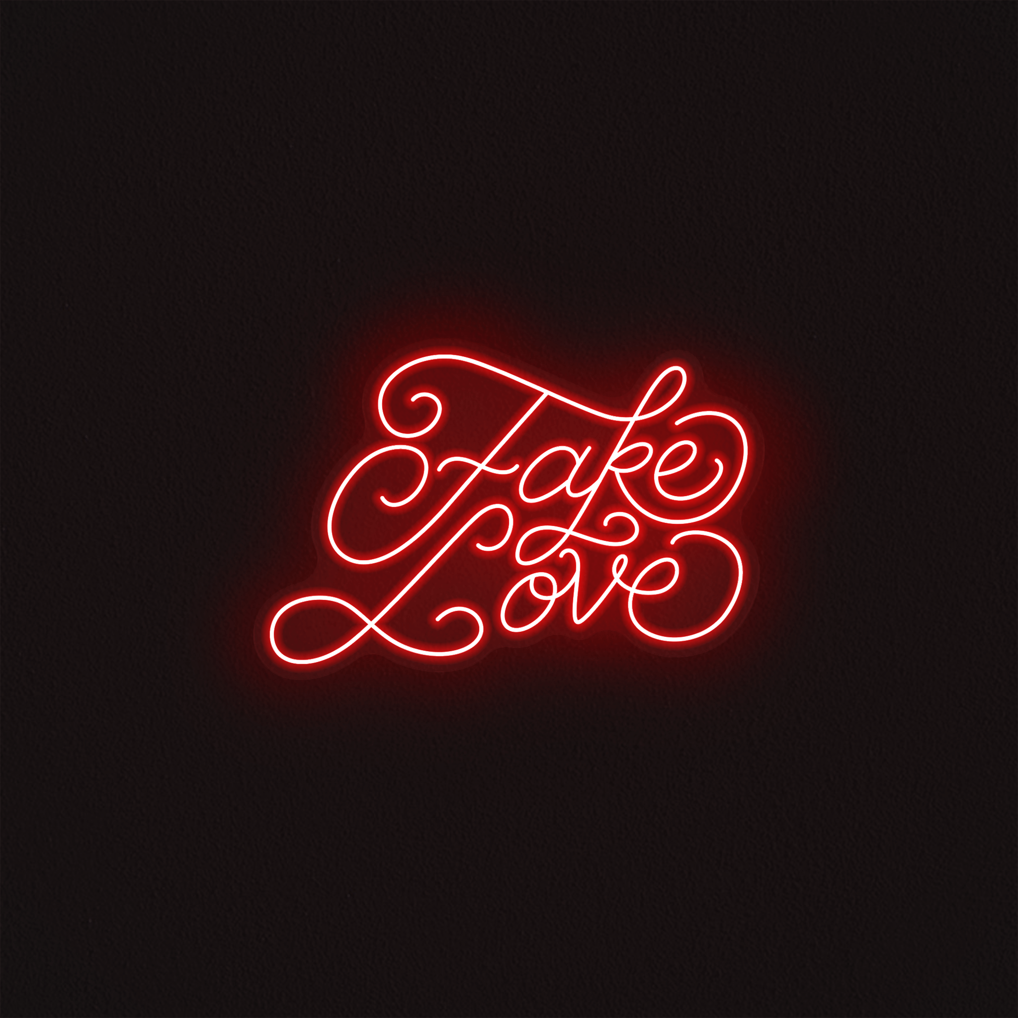 Fake Love - Mr Luciole