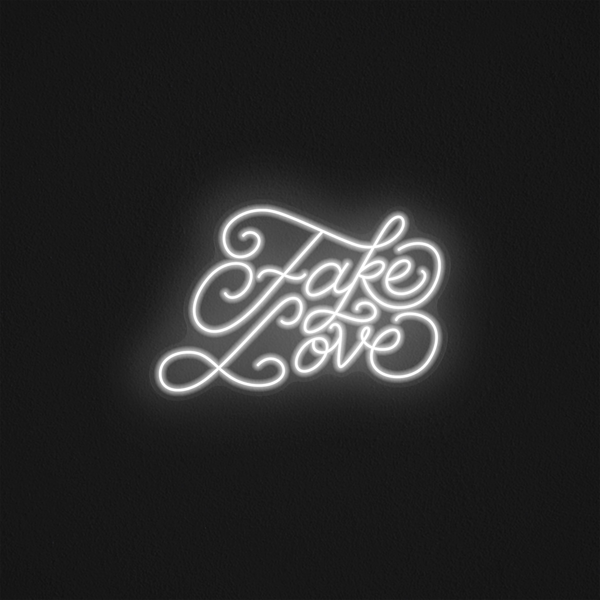 Fake Love - Mr Luciole