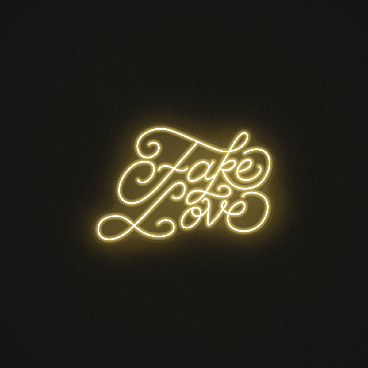 Fake Love - Mr Luciole