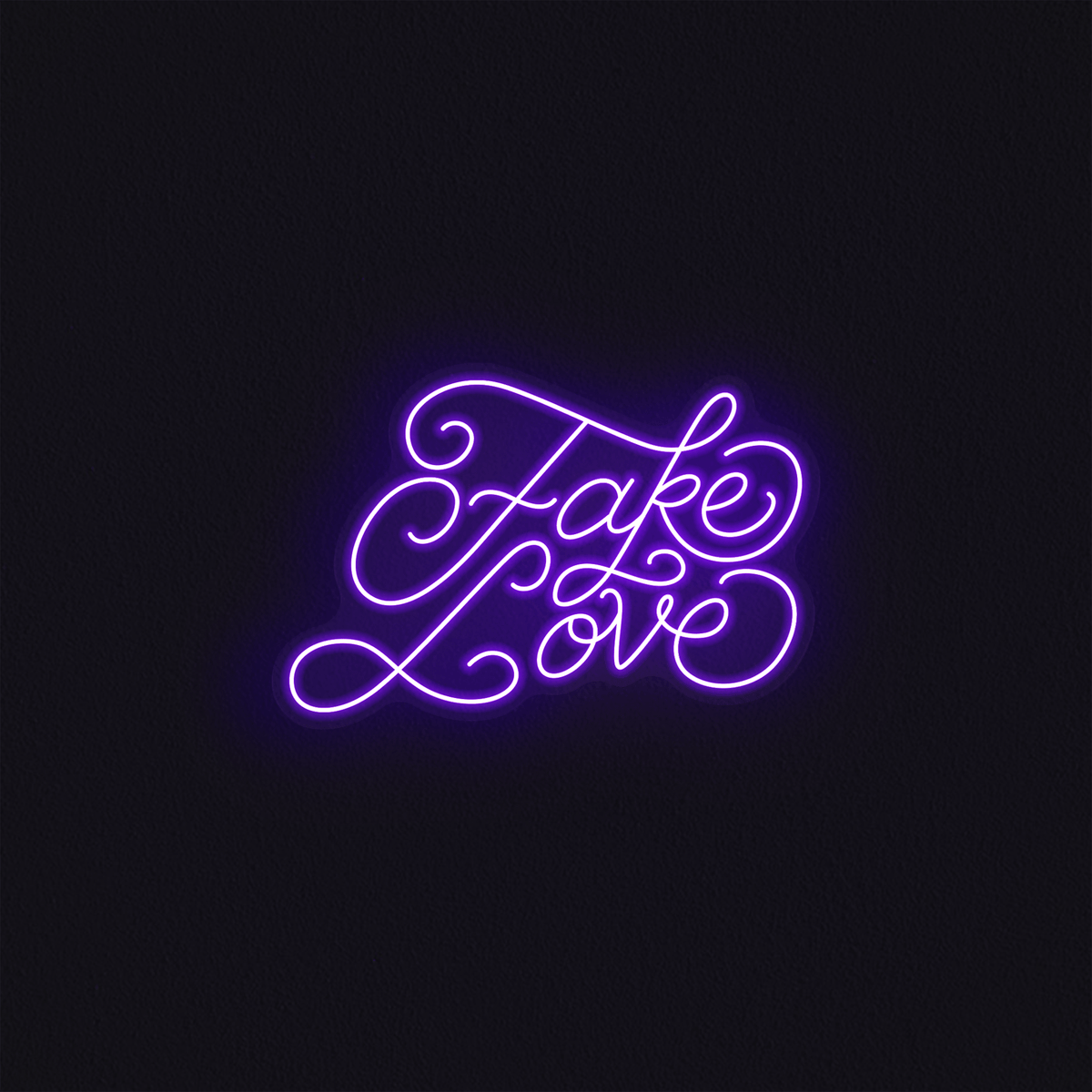 Fake Love - Mr Luciole